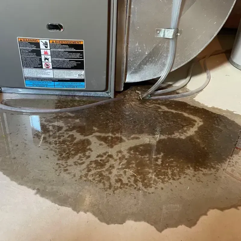 Appliance Leak Cleanup in Vinton, LA